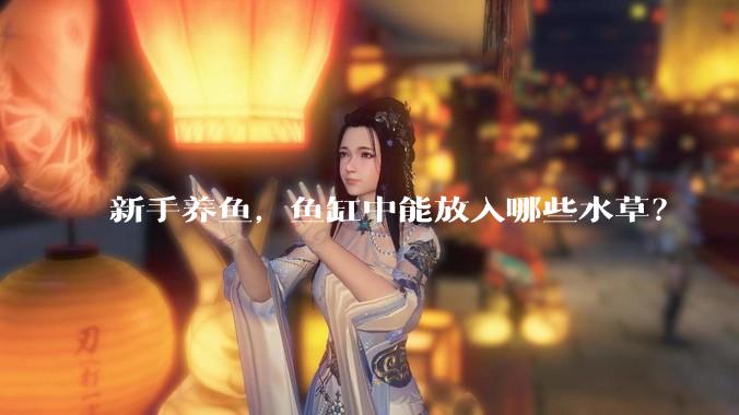 新手养鱼，鱼缸中能放入哪些水草？