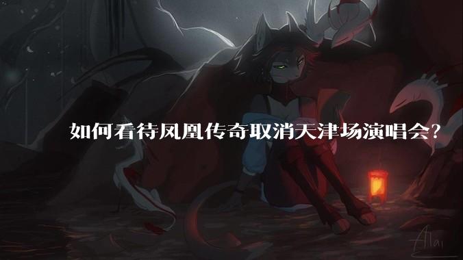 如何看待凤凰传奇取消天津场演唱会？