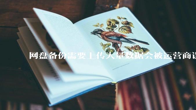 网盘备份需要上传大量数据会被运营商误识别为pcdn并封宽带吗？